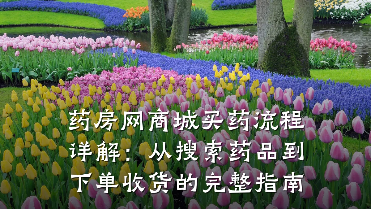 药房网商城买药流程详解：从搜索药品到下单收货的完整指南