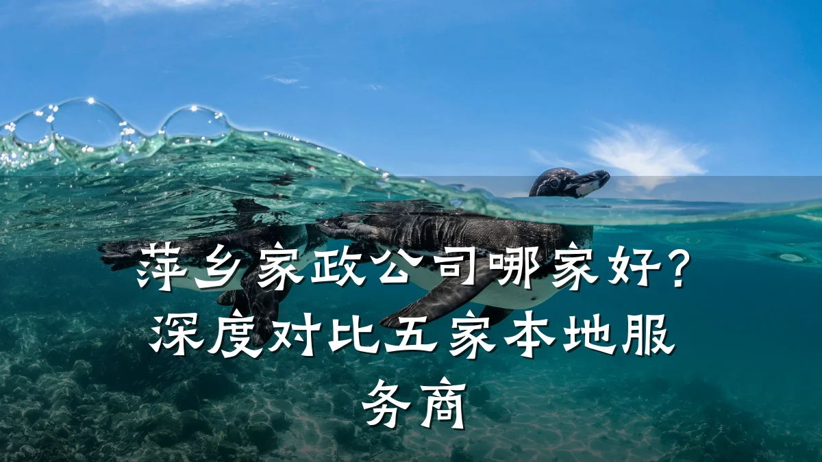 萍乡家政公司哪家好？深度对比五家本地服务商
