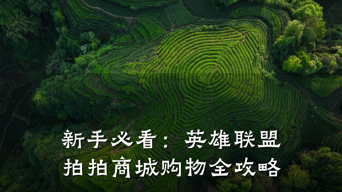新手必看：英雄联盟拍拍商城购物全攻略
