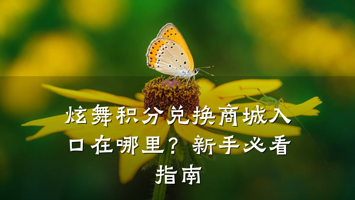 炫舞积分兑换商城入口在哪里？新手必看指南