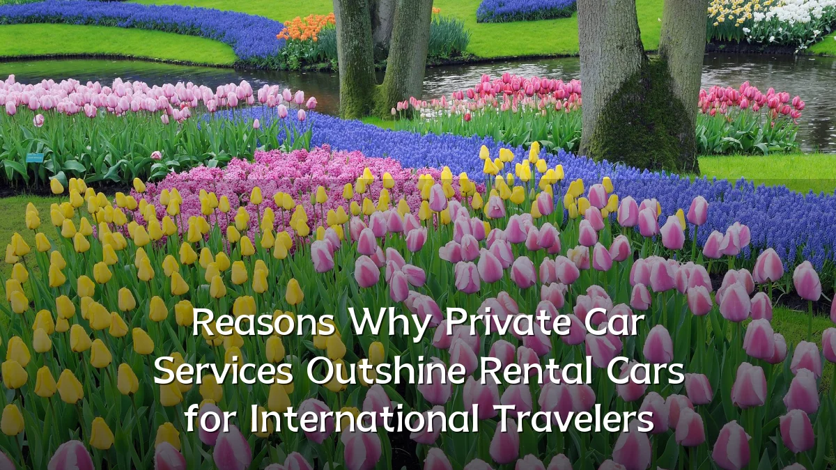 Reasons Why Private Car Services Outshine Rental Cars for International Travelers