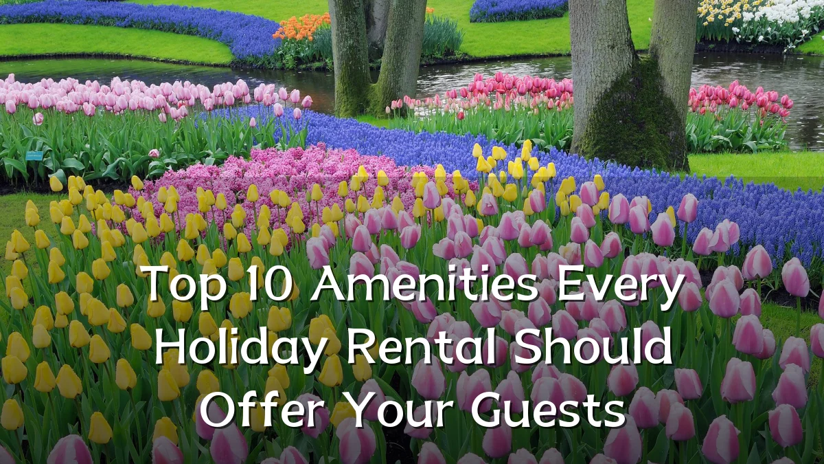 Top 10 Amenities Every Holiday Rental Should Offer Your Guests