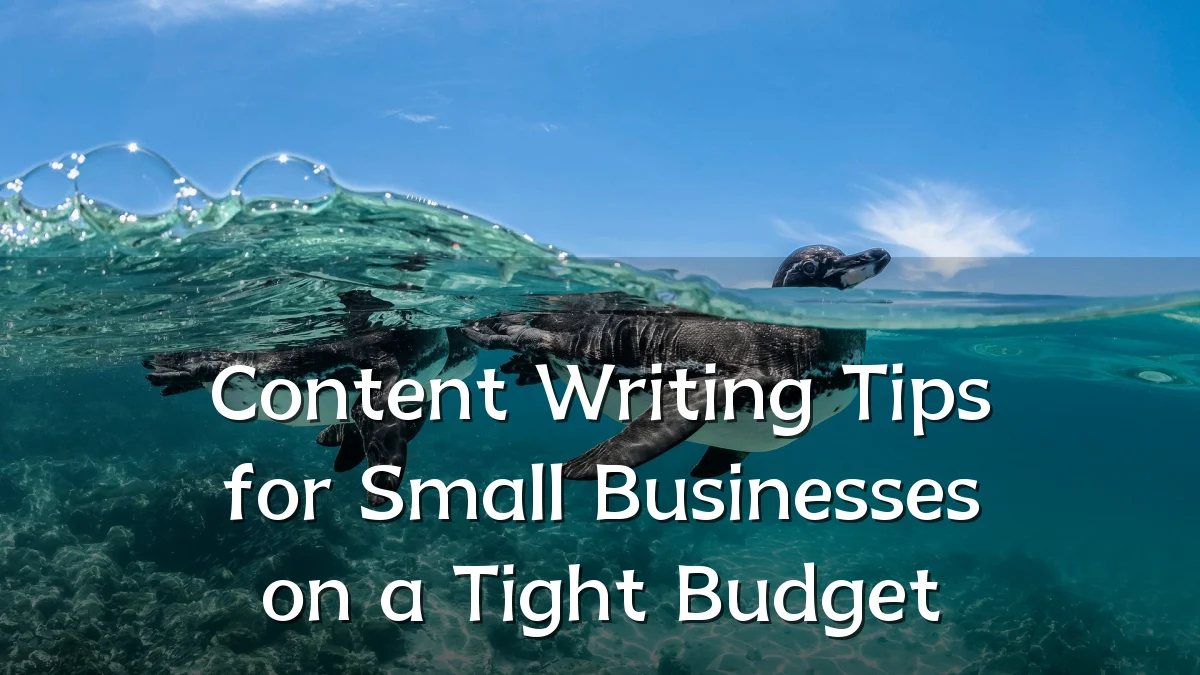 Content Writing Tips for Small Businesses on a Tight Budget