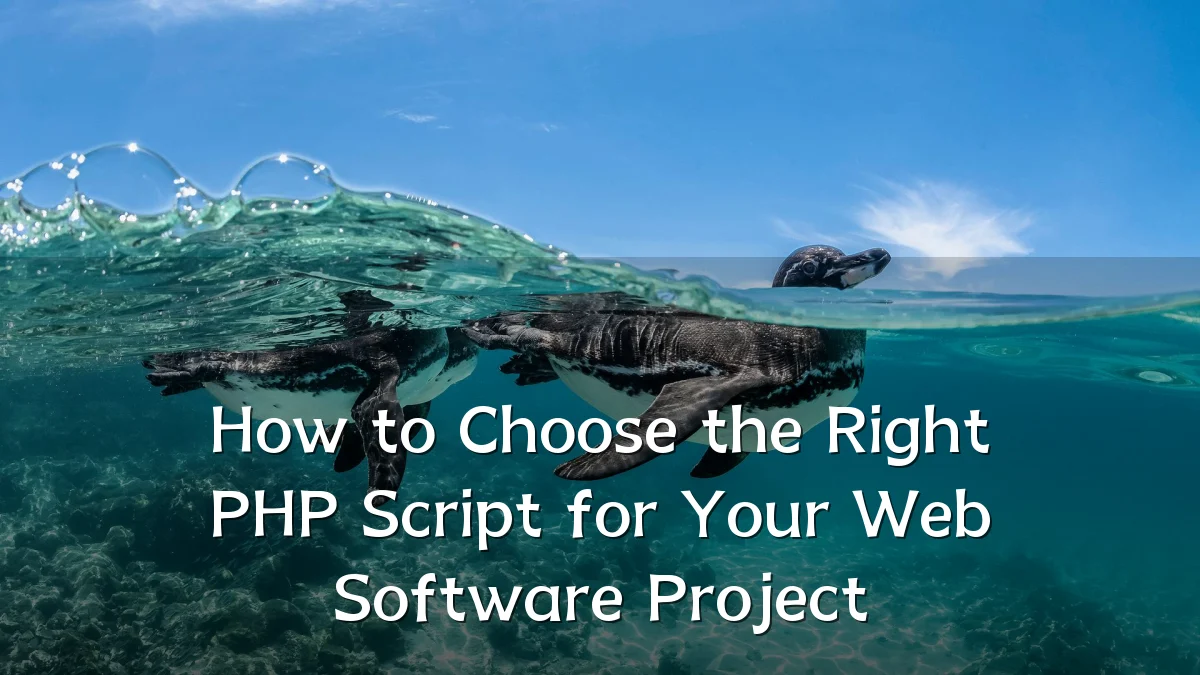 How to Choose the Right PHP Script for Your Web Software Project