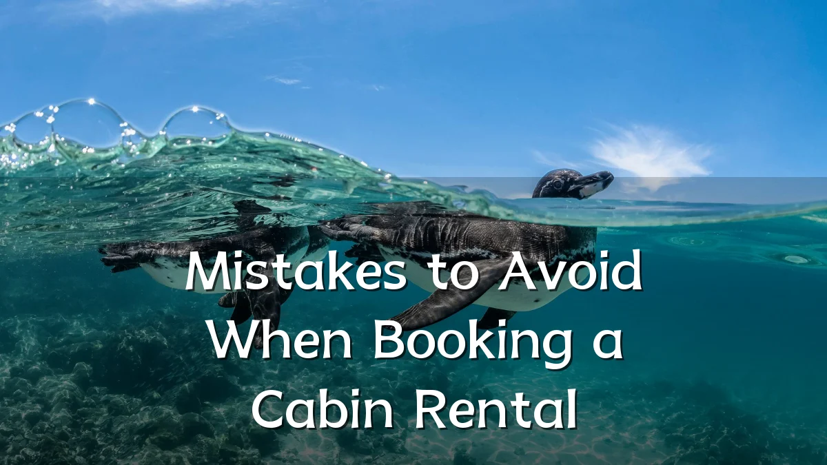 Mistakes to Avoid When Booking a Cabin Rental