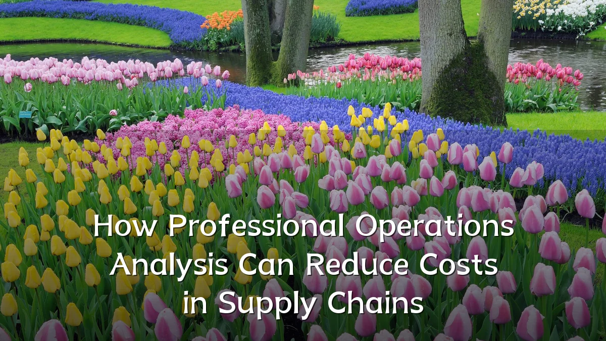 How Professional Operations Analysis Can Reduce Costs in Supply Chains