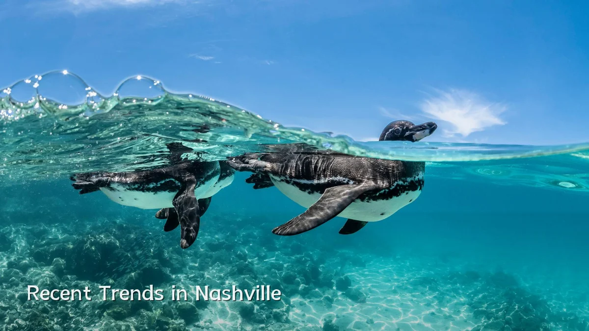 Recent Trends in Nashville
