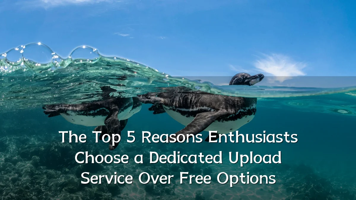 The Top 5 Reasons Enthusiasts Choose a Dedicated Upload Service Over Free Options