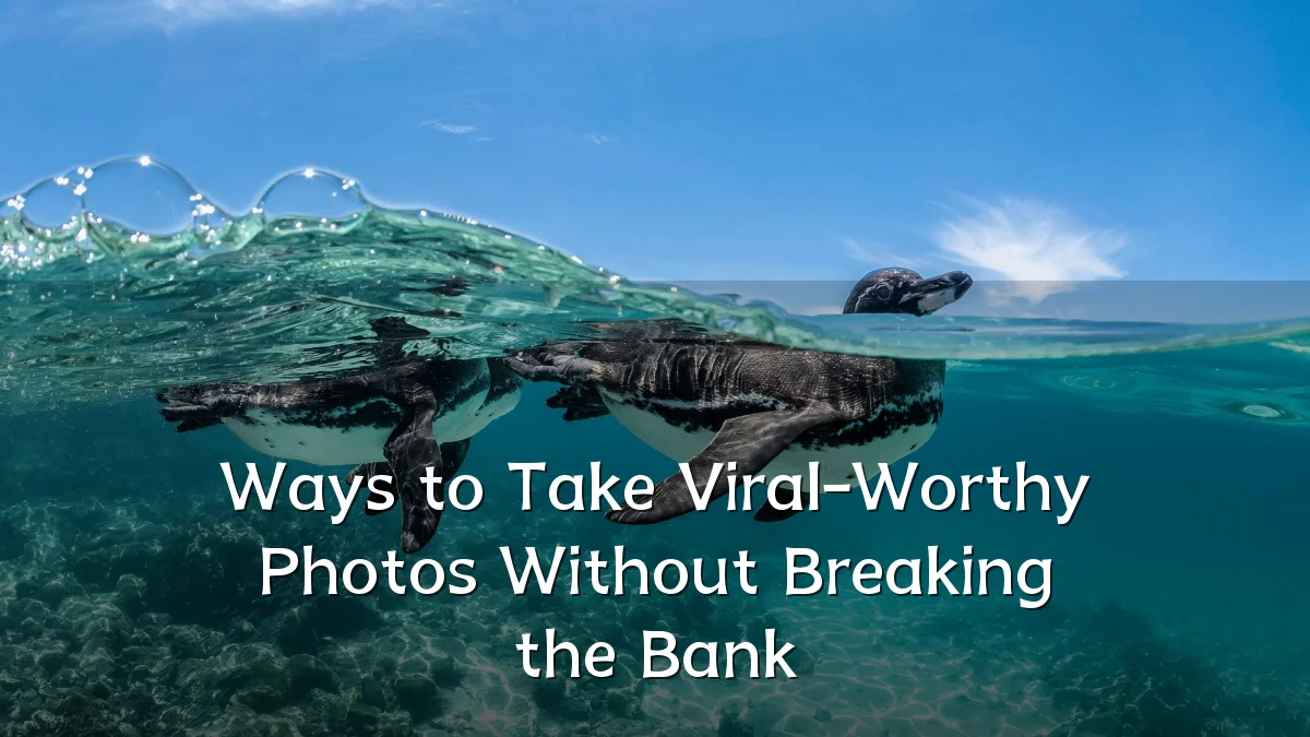 Ways to Take Viral-Worthy Photos Without Breaking the Bank