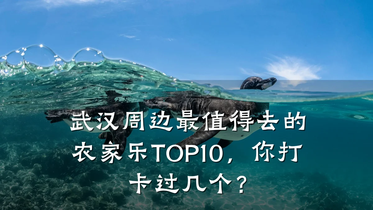 武汉周边最值得去的农家乐TOP10,你打卡过几个?