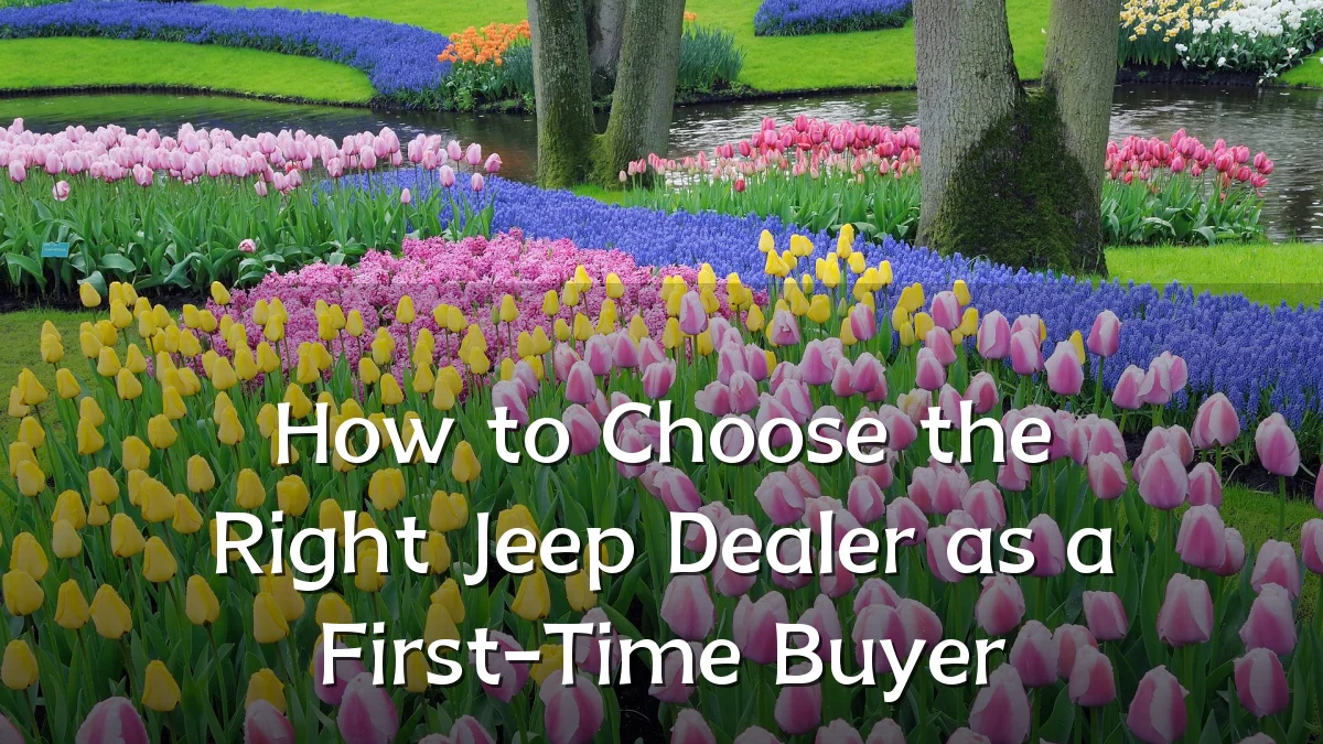 How to Choose the Right Jeep Dealer as a First-Time Buyer
