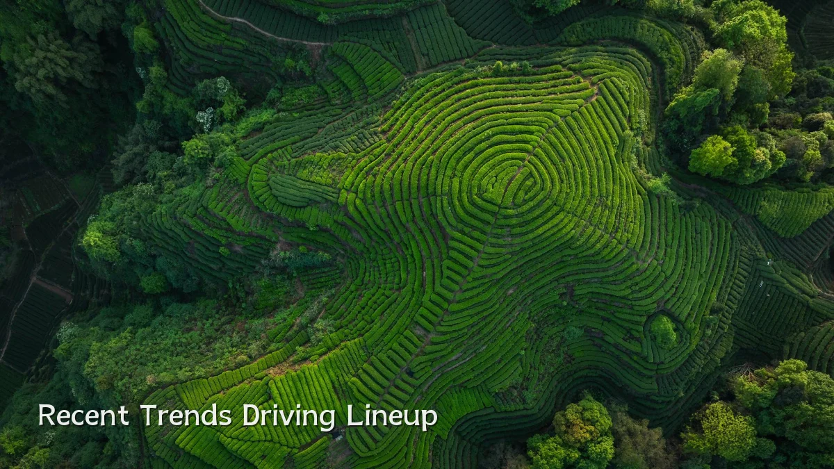 Recent Trends Driving Lineup