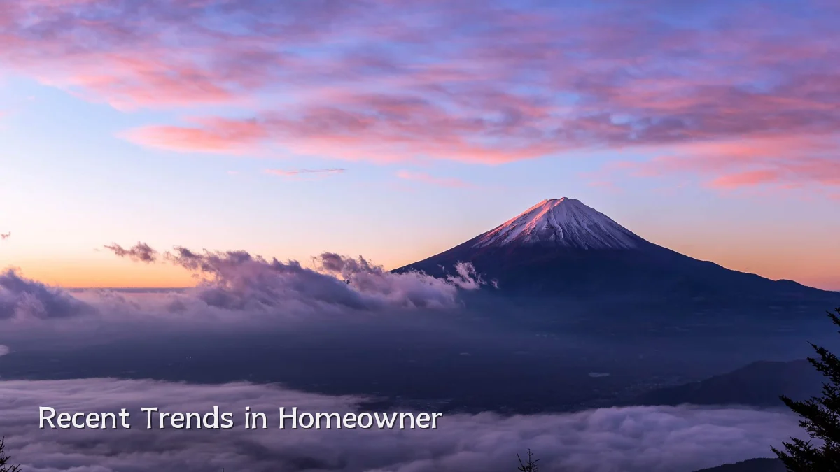Recent Trends in Homeowner