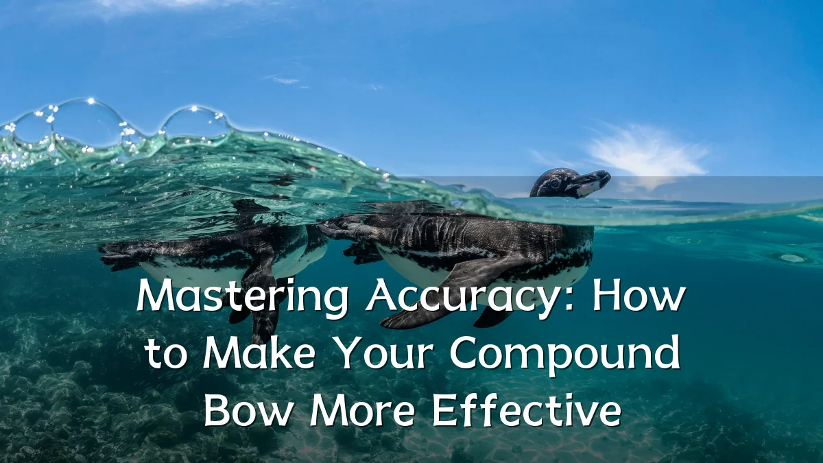 Mastering Accuracy: How to Make Your Compound Bow More Effective