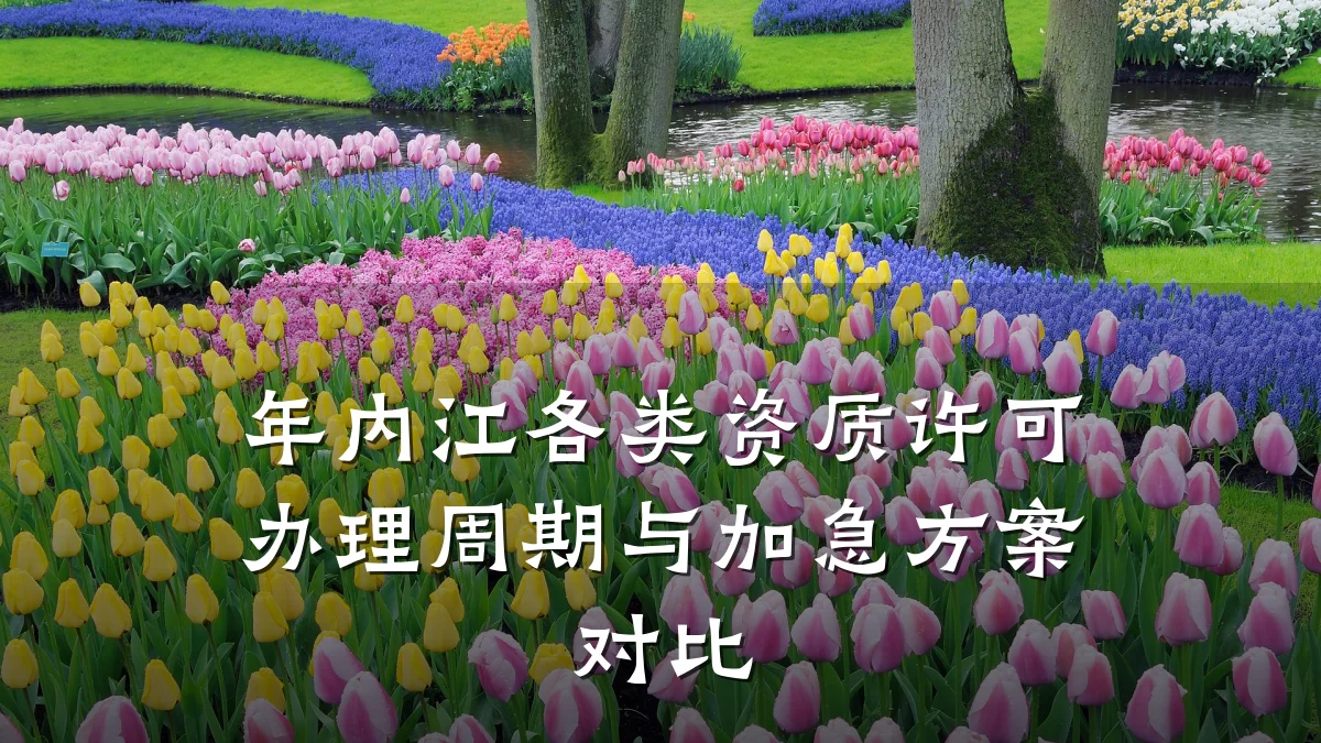 年内江各类资质许可办理周期与加急方案对比