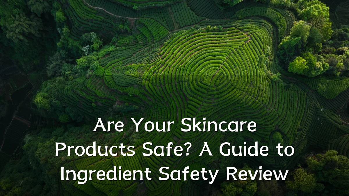 Are Your Skincare Products Safe? A Guide to Ingredient Safety Review