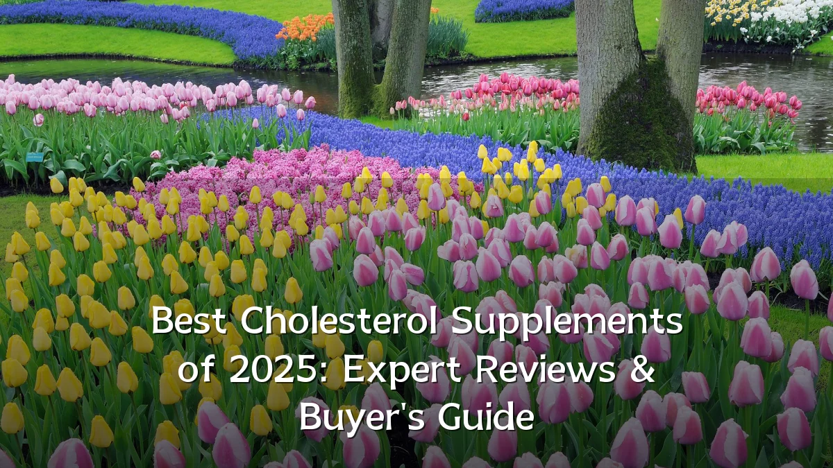Best Cholesterol Supplements of 2025: Expert Reviews & Buyer's Guide