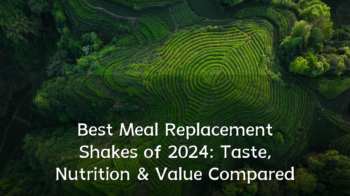 Best Meal Replacement Shakes of 2024: Taste, Nutrition & Value Compared