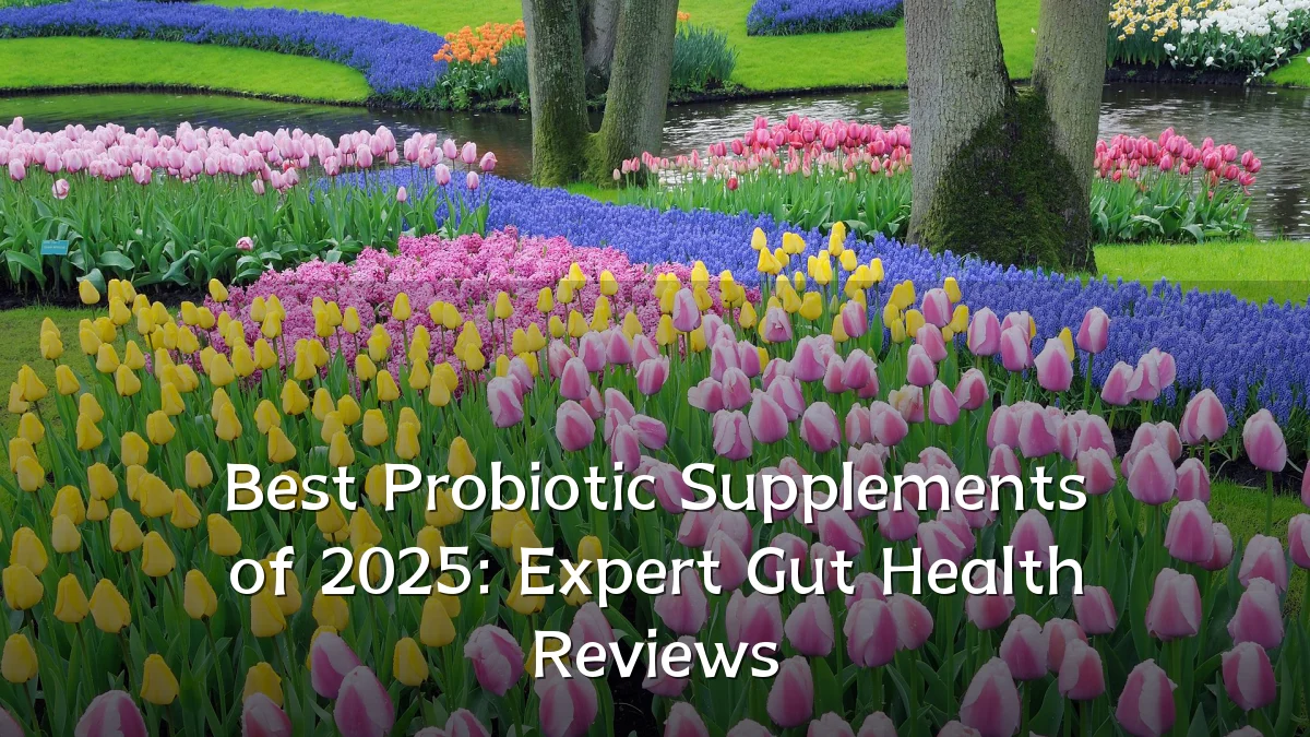 Best Probiotic Supplements of 2025: Expert Gut Health Reviews