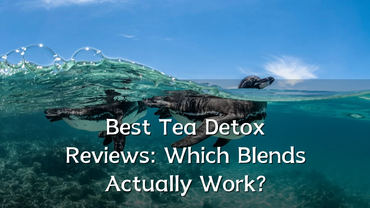 Best Tea Detox Reviews: Which Blends Actually Work?