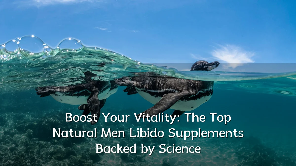 Boost Your Vitality: The Top Natural Men Libido Supplements Backed by Science