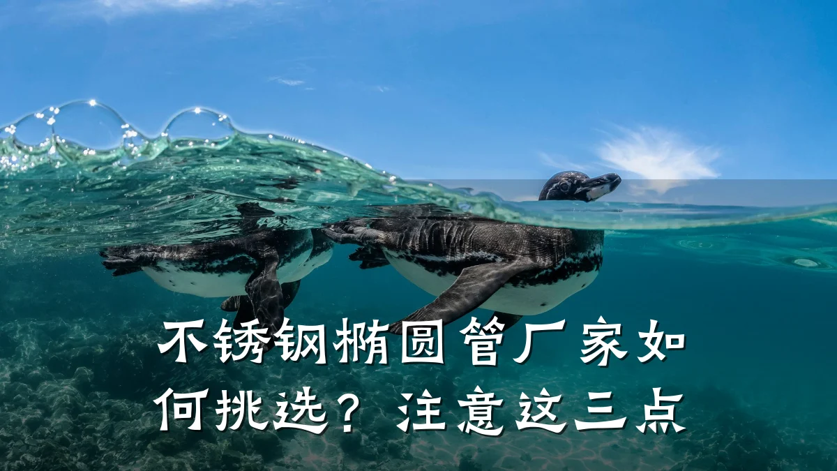 不锈钢椭圆管厂家如何挑选?注意这三点