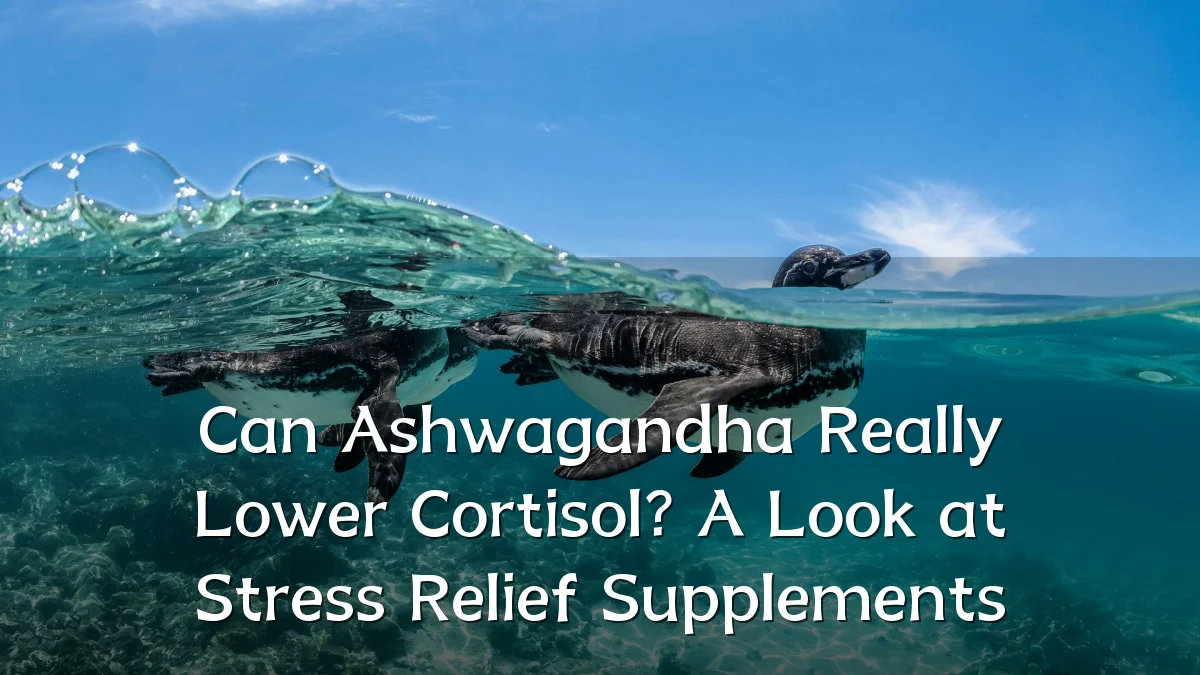 Can Ashwagandha Really Lower Cortisol? A Look at Stress Relief Supplements