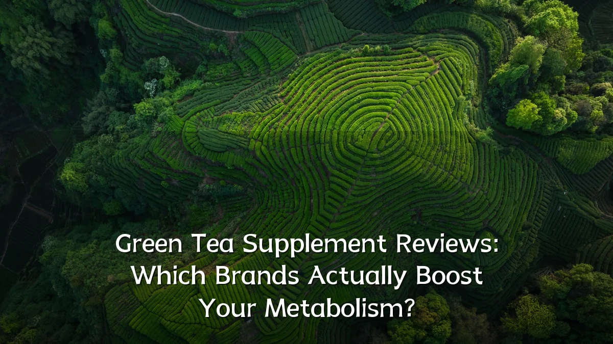 Green Tea Supplement Reviews: Which Brands Actually Boost Your Metabolism?