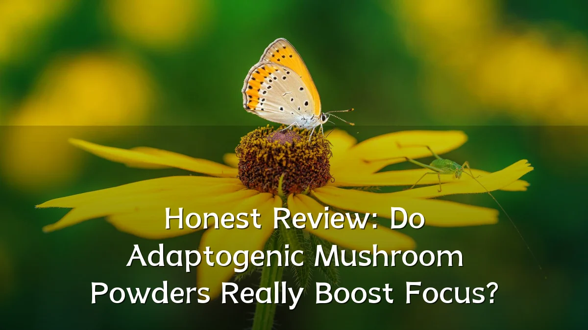 Honest Review: Do Adaptogenic Mushroom Powders Really Boost Focus?
