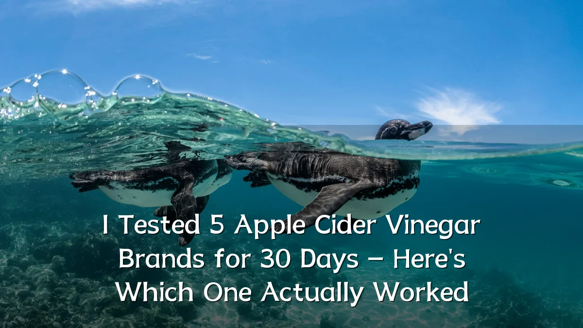 I Tested 5 Apple Cider Vinegar Brands for 30 Days – Here's Which One Actually Worked