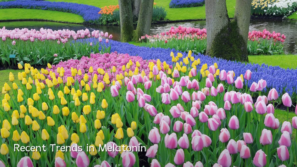 Recent Trends in Melatonin