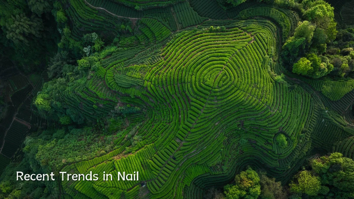 Recent Trends in Nail