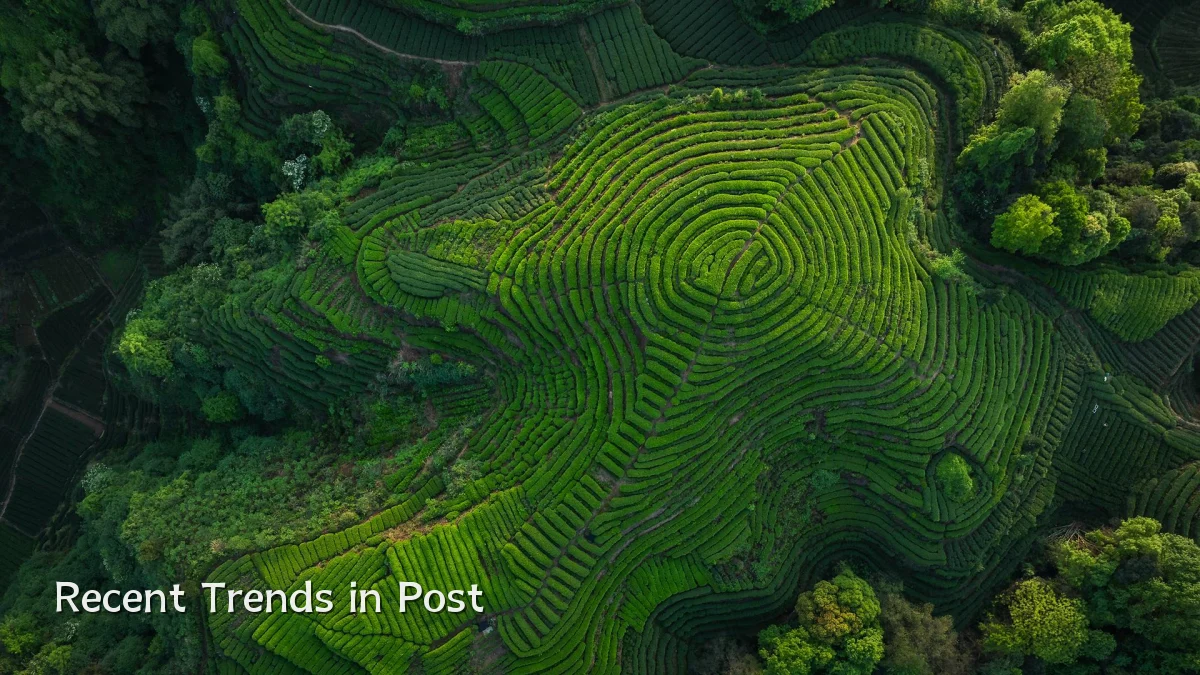 Recent Trends in Post