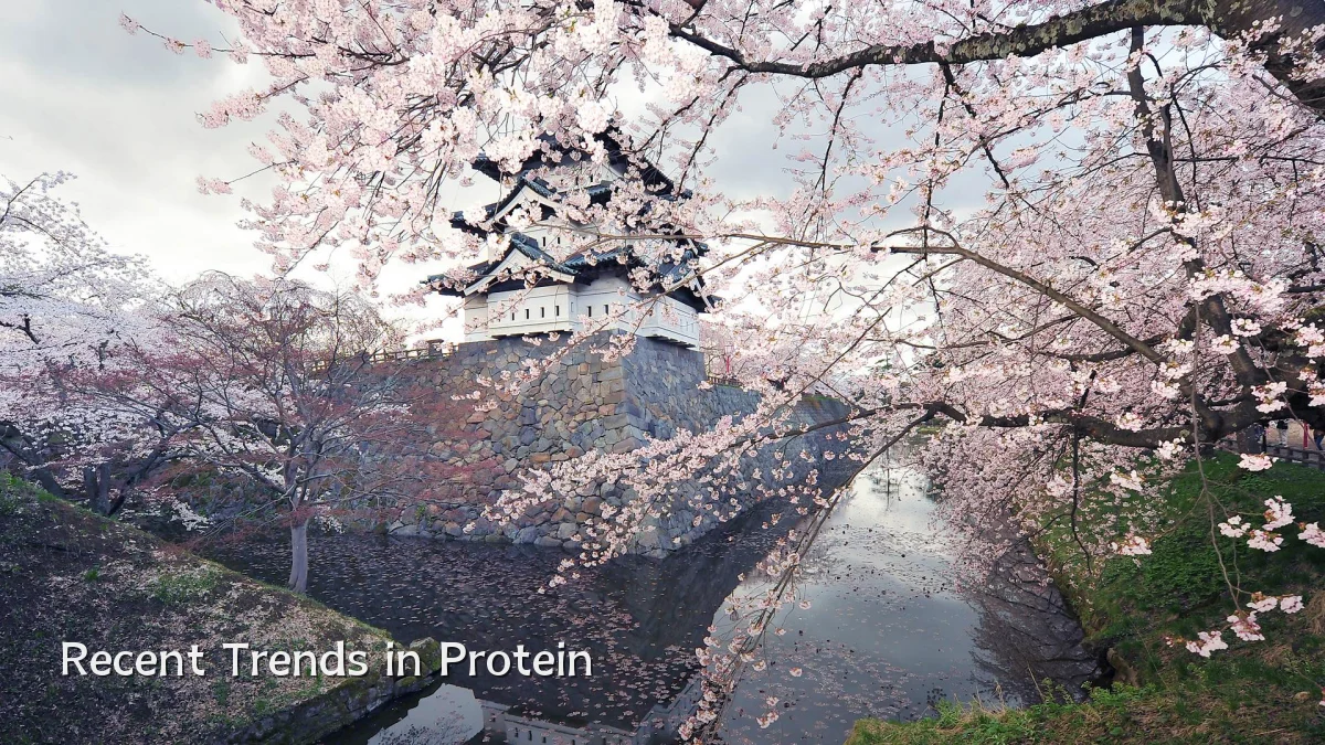 Recent Trends in Protein