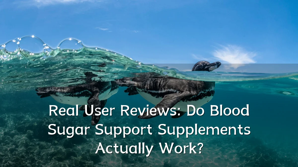 Real User Reviews: Do Blood Sugar Support Supplements Actually Work?