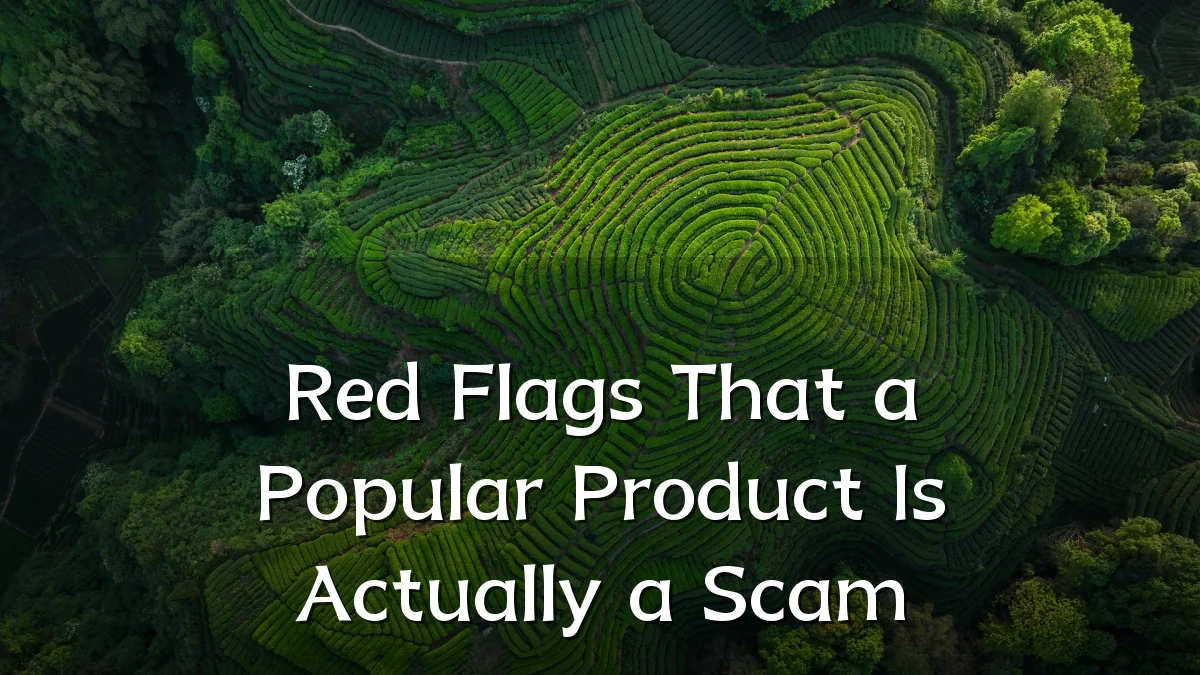 Red Flags That a Popular Product Is Actually a Scam