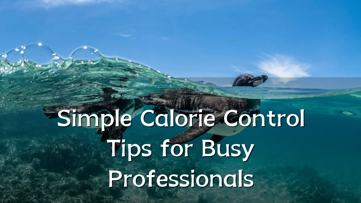 Simple Calorie Control Tips for Busy Professionals