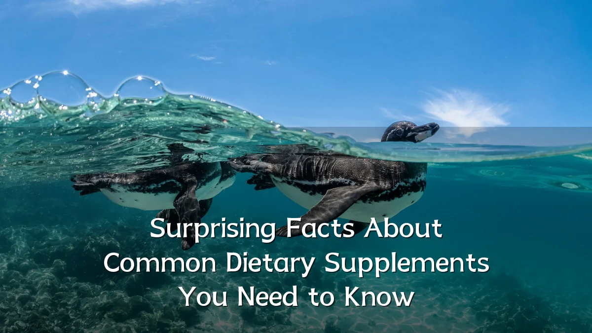 Surprising Facts About Common Dietary Supplements You Need to Know