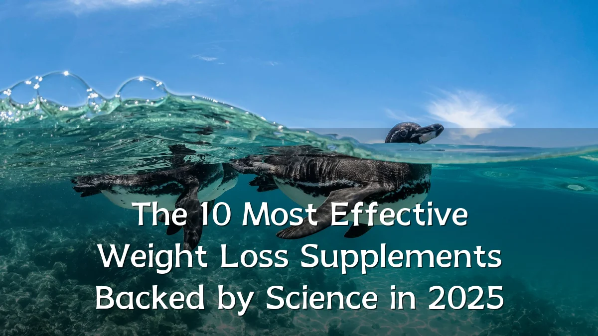 The 10 Most Effective Weight Loss Supplements Backed by Science in 2025
