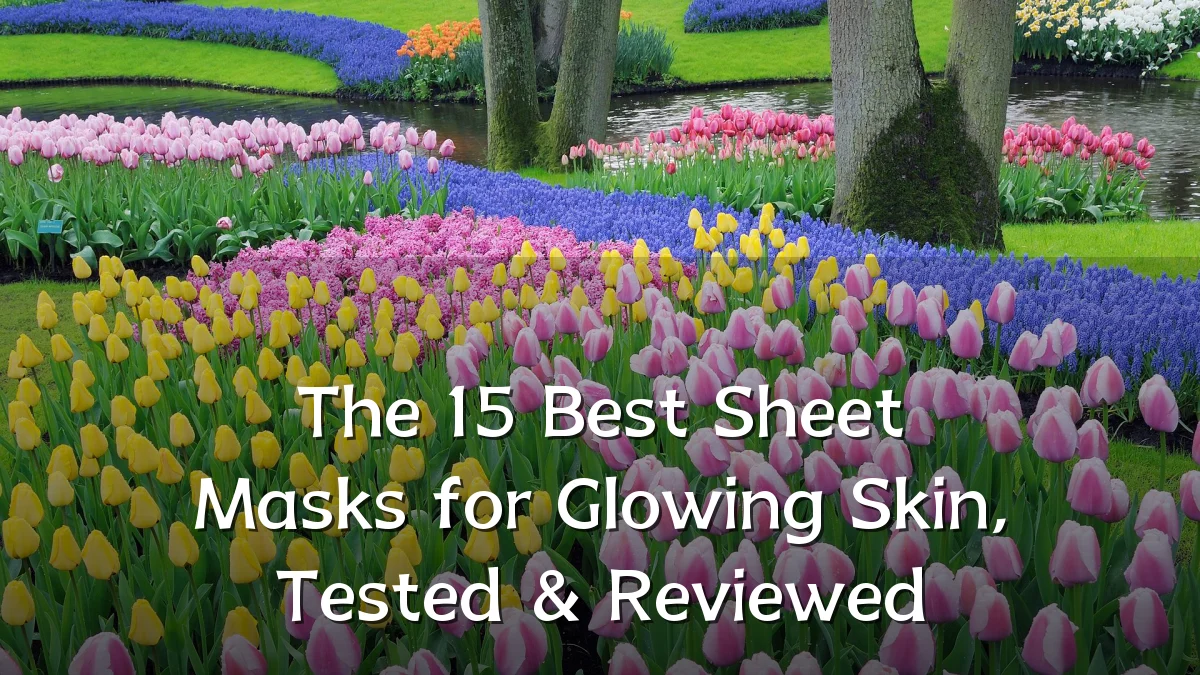 The 15 Best Sheet Masks for Glowing Skin, Tested & Reviewed
