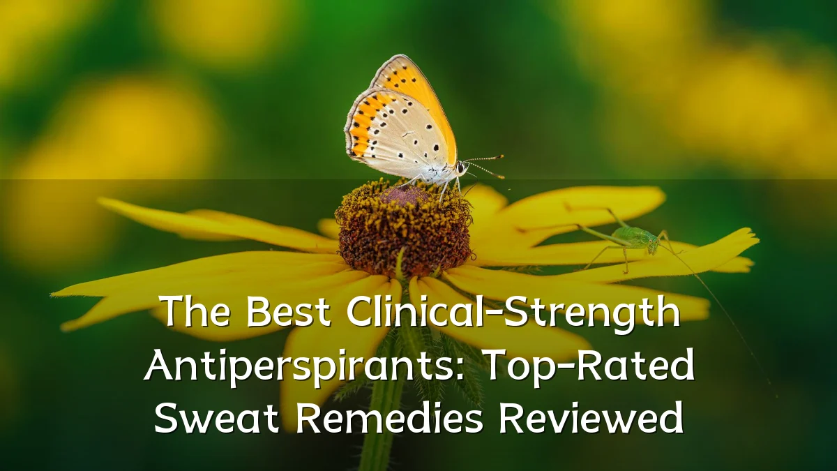 The Best Clinical-Strength Antiperspirants: Top-Rated Sweat Remedies Reviewed