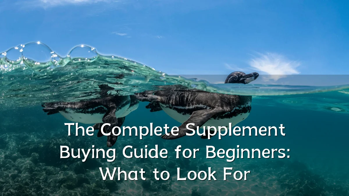 The Complete Supplement Buying Guide for Beginners: What to Look For