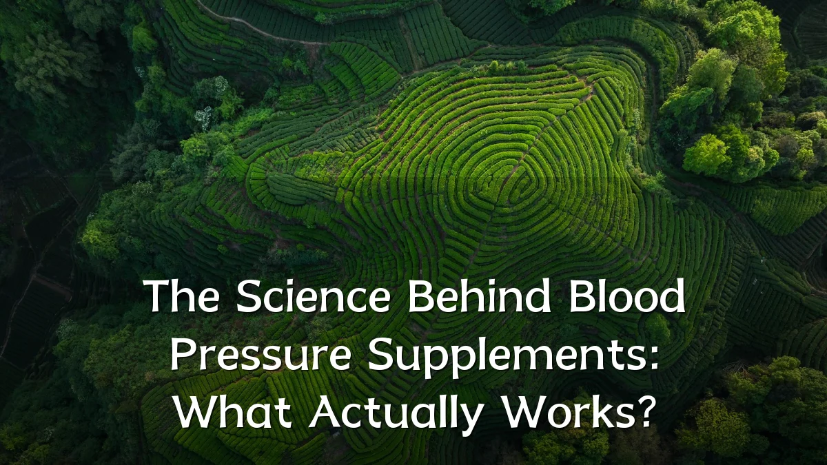 The Science Behind Blood Pressure Supplements: What Actually Works?