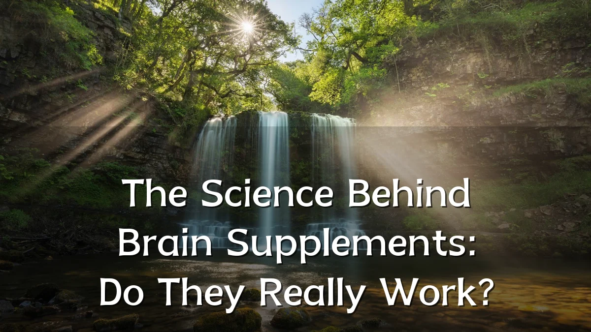 The Science Behind Brain Supplements: Do They Really Work?