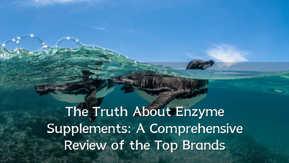 The Truth About Enzyme Supplements: A Comprehensive Review of the Top Brands