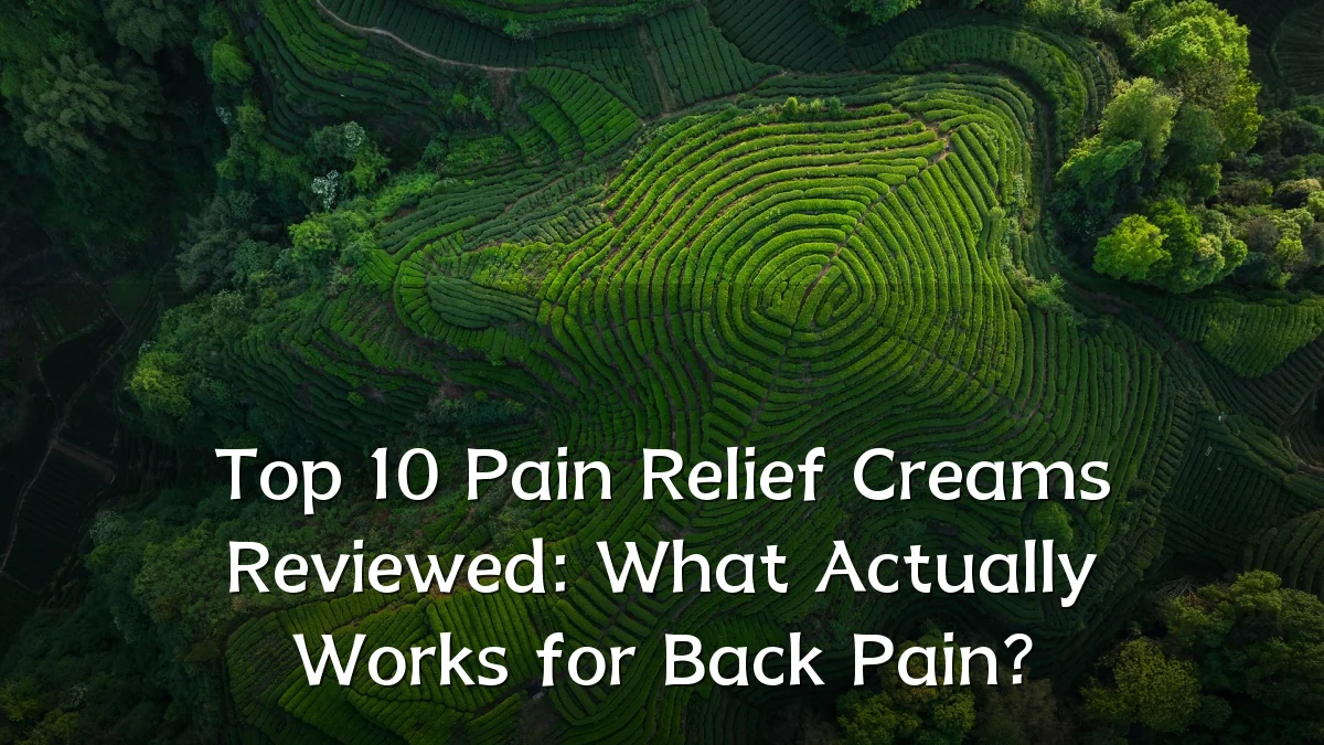 Top 10 Pain Relief Creams Reviewed: What Actually Works for Back Pain?