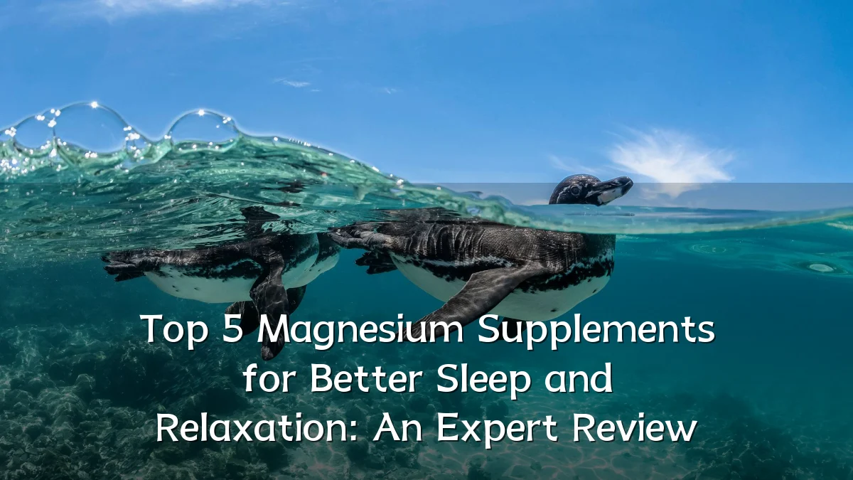 Top 5 Magnesium Supplements for Better Sleep and Relaxation: An Expert Review