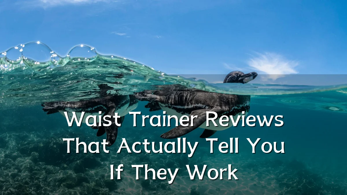 Waist Trainer Reviews That Actually Tell You If They Work