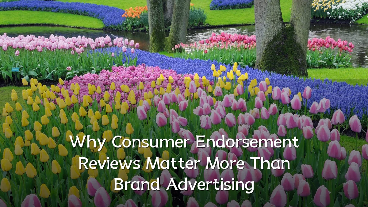 Why Consumer Endorsement Reviews Matter More Than Brand Advertising