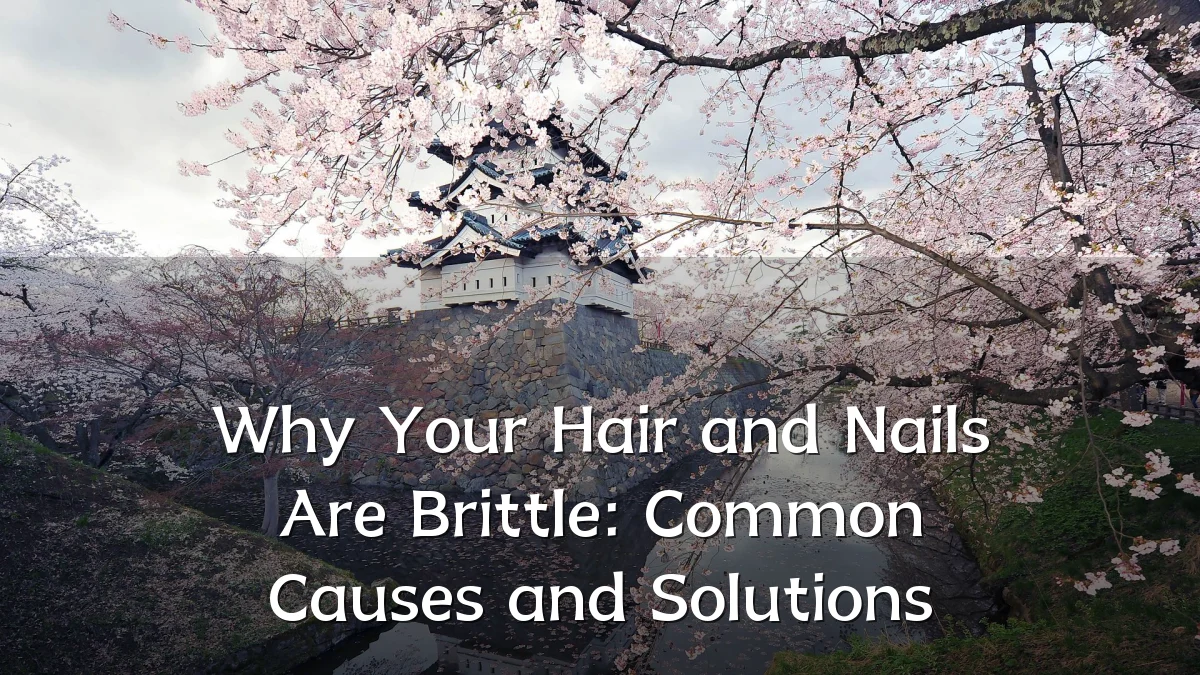 Why Your Hair and Nails Are Brittle: Common Causes and Solutions